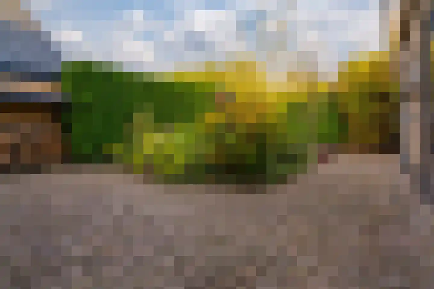 Judostraat 7 Didam thumbnail 34