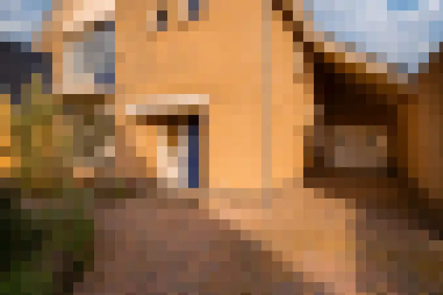Judostraat 7 Didam thumbnail 6