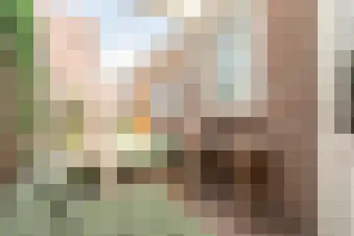 Jufferenpad 15 Meppel thumbnail 32