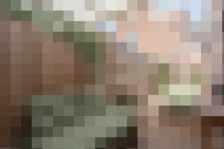 Jufferenpad 15 Meppel thumbnail 34