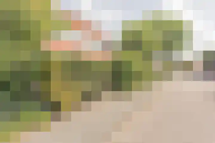 Jufferenpad 15 Meppel thumbnail 38