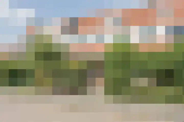 Jufferenpad 15 Meppel thumbnail 42