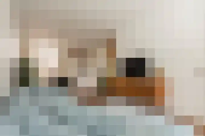 Jufferenpad 15 Meppel thumbnail 8