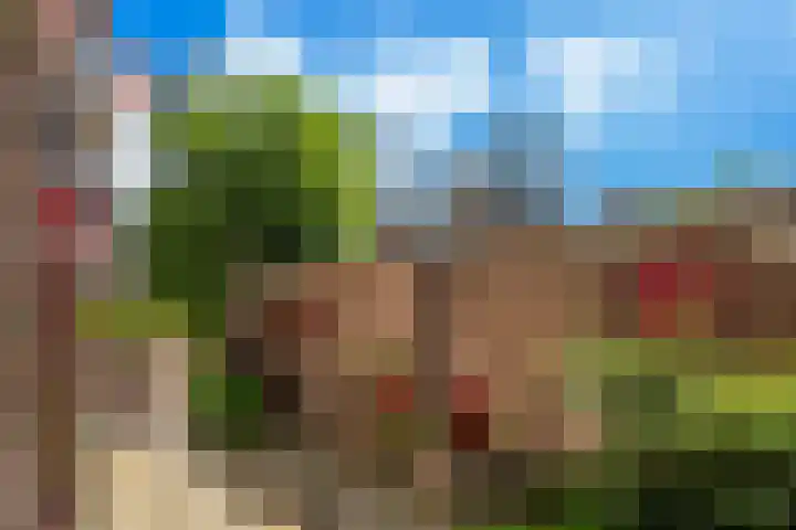 Jufferkade 48 Rotterdam thumbnail 5
