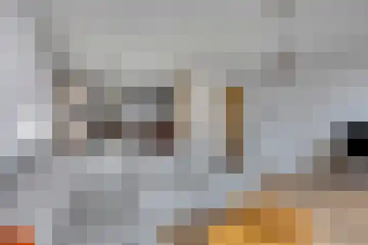Jufferstraat 212 Rotterdam thumbnail 12