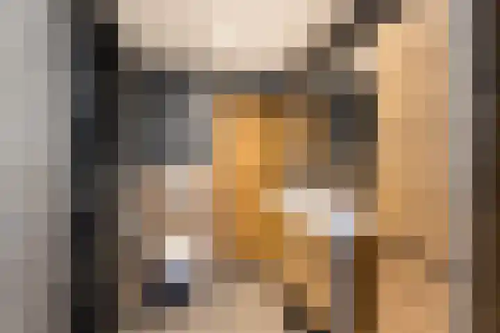 Jufferswijk 4 De Klomp thumbnail 18