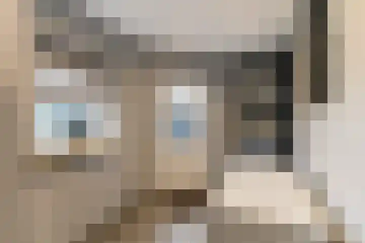 Jufferswijk 4 De Klomp thumbnail 23