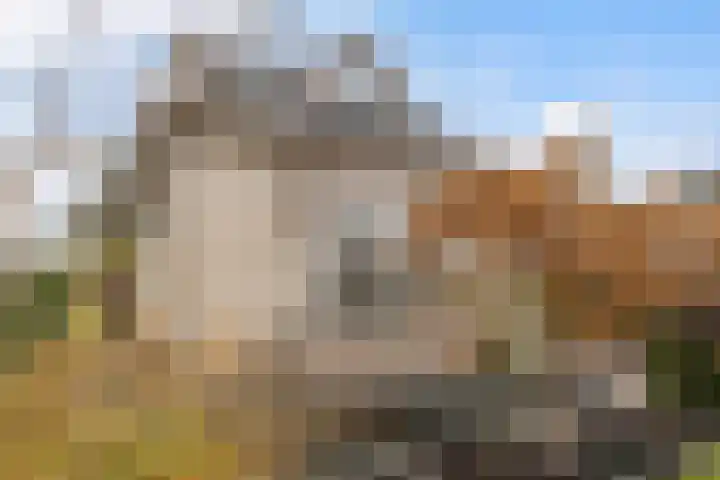 Jufferswijk 4 De Klomp thumbnail 50