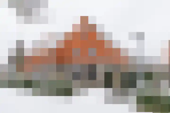 Jukwerd 9 Groningen