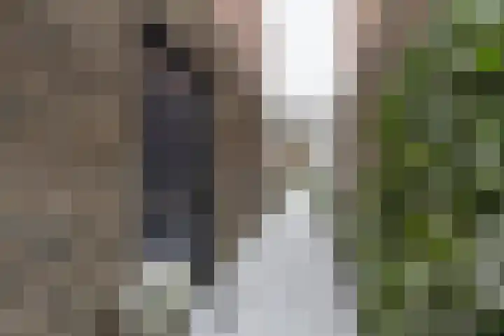 Jukwerd 9 Groningen thumbnail 10