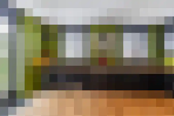 Jukwerd 9 Groningen thumbnail 16