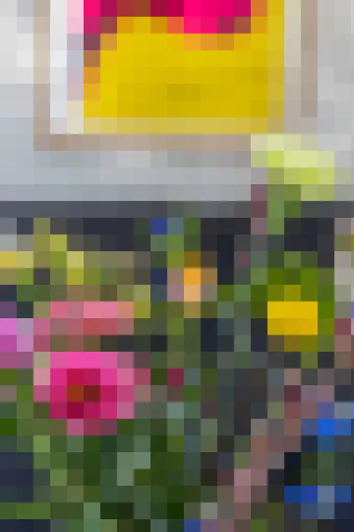 Jukwerd 9 Groningen thumbnail 24