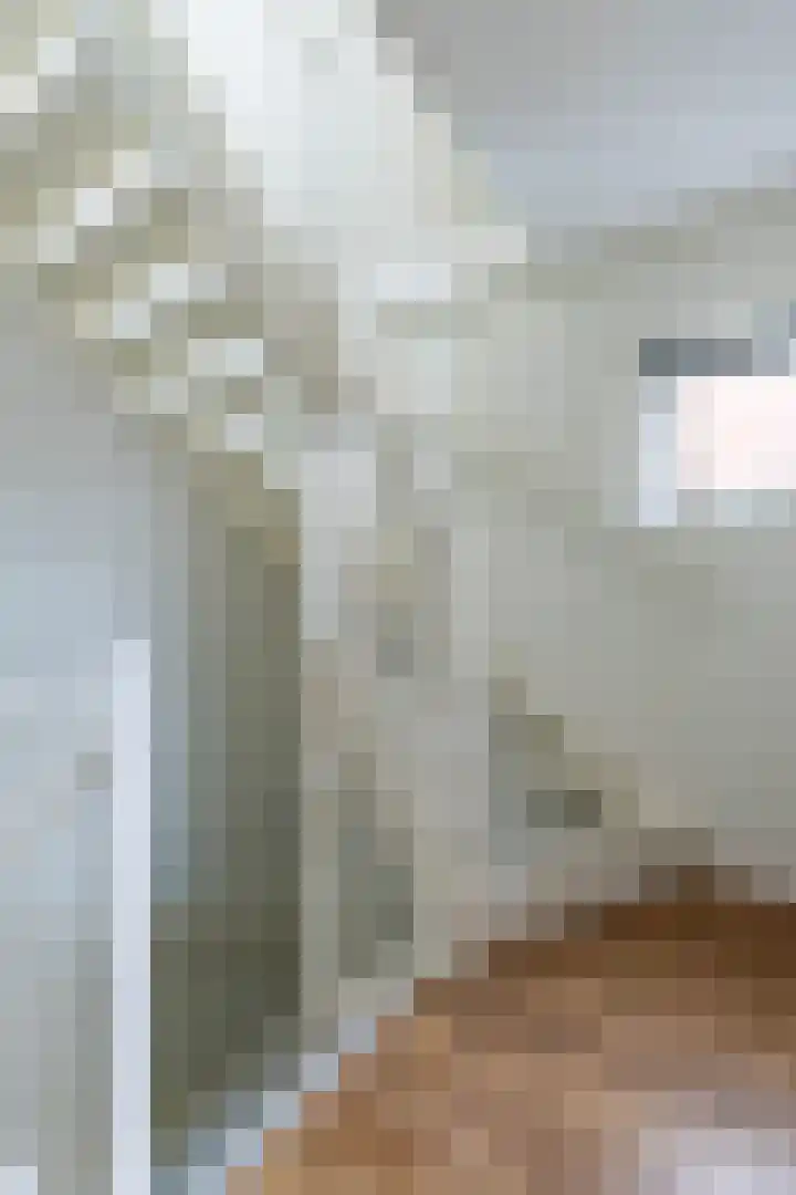 Jukwerd 9 Groningen thumbnail 38