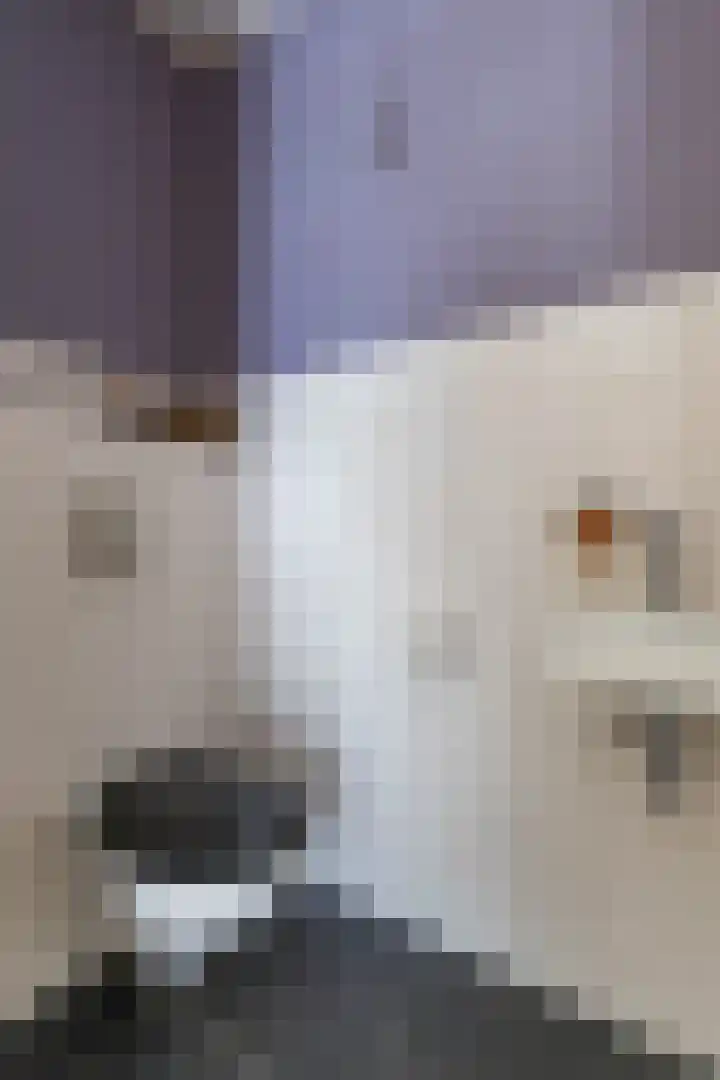 Jukwerd 9 Groningen thumbnail 39