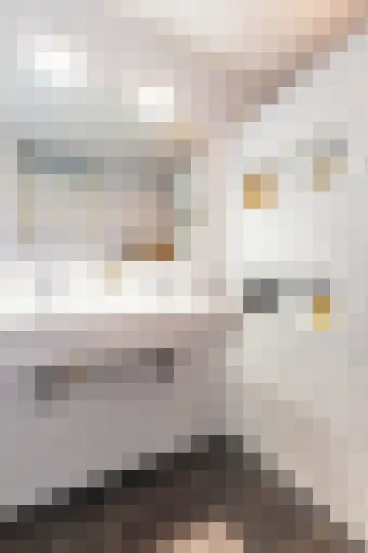Jukwerd 9 Groningen thumbnail 42