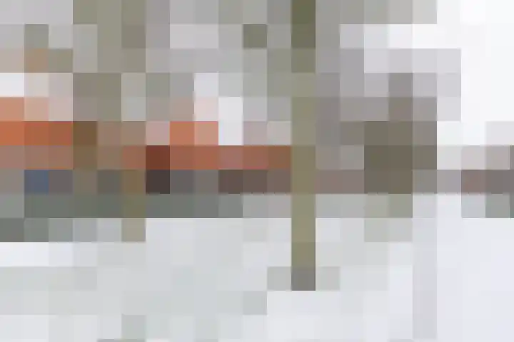 Jukwerd 9 Groningen thumbnail 5