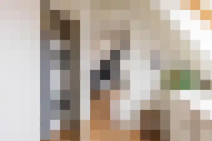 Jukwerd 9 Groningen thumbnail 51