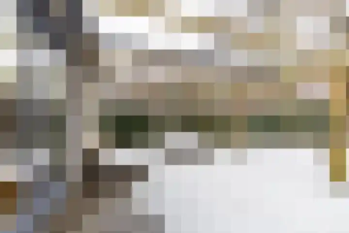 Jukwerd 9 Groningen thumbnail 60