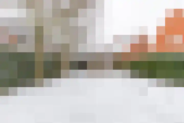 Jukwerd 9 Groningen thumbnail 61