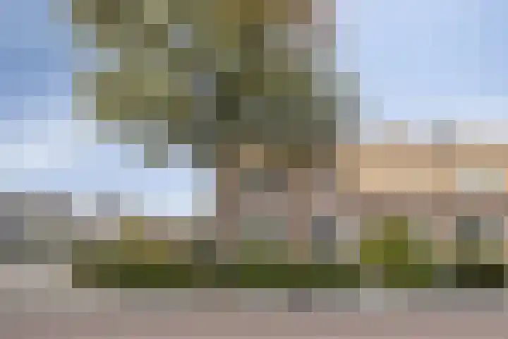 Julianalaan 1 in Dodewaard