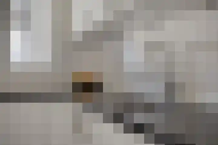 Julianalaan 1 Dodewaard thumbnail 16