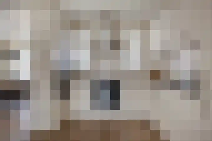 Julianalaan 1 Dodewaard thumbnail 17