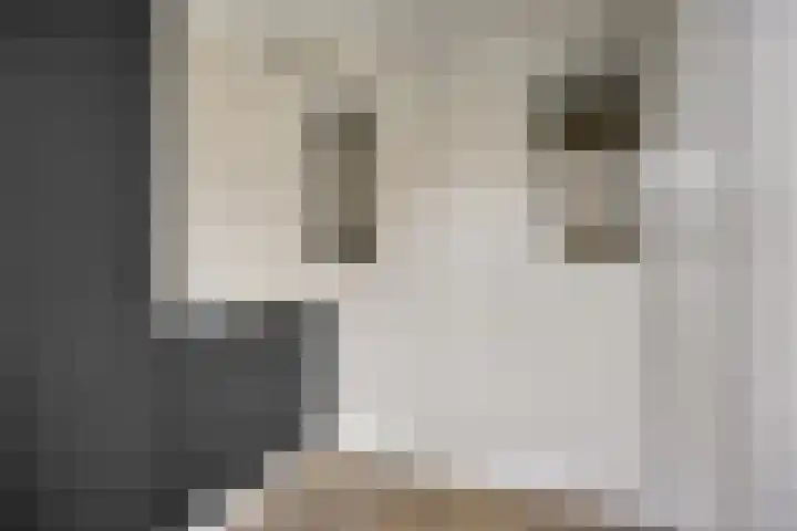 Julianalaan 1 Dodewaard thumbnail 18