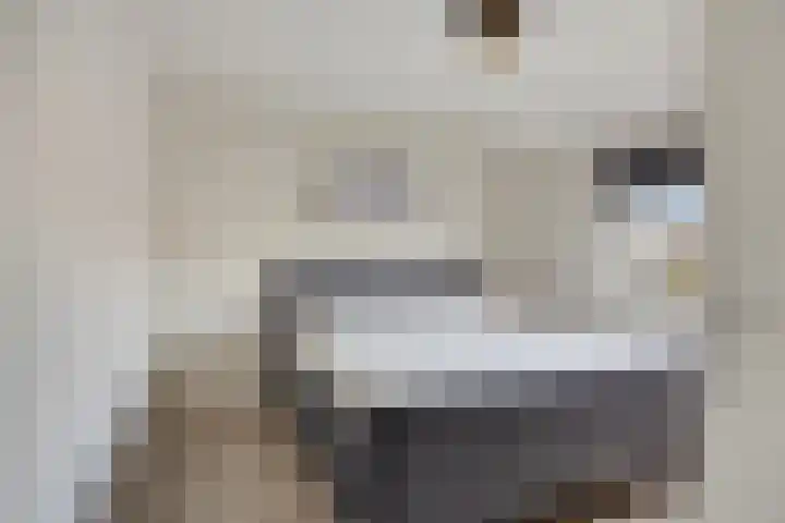 Julianalaan 1 Dodewaard thumbnail 21