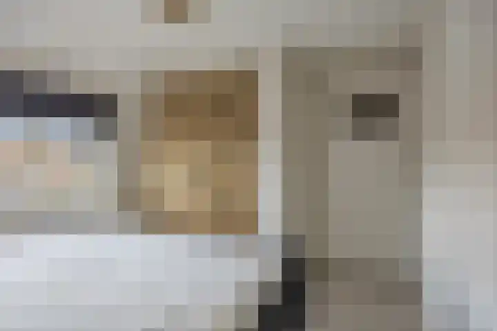 Julianalaan 1 Dodewaard thumbnail 22