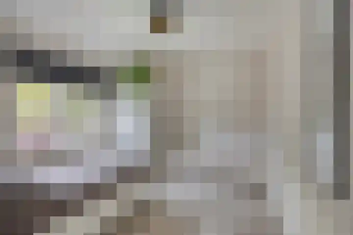 Julianalaan 1 Dodewaard thumbnail 23