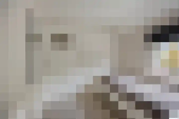 Julianalaan 1 Dodewaard thumbnail 24