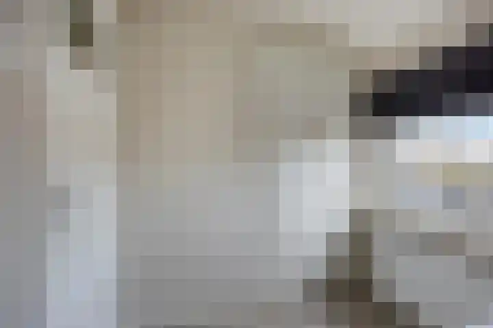 Julianalaan 1 Dodewaard thumbnail 26