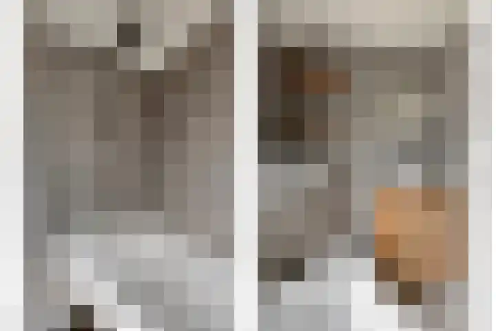 Julianalaan 1 Dodewaard thumbnail 28