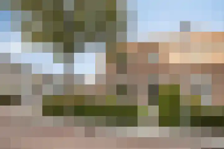 Julianalaan 1 Dodewaard thumbnail 36