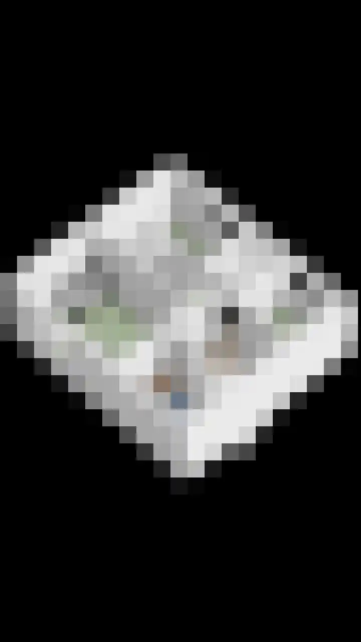 Julianalaan 1 Dodewaard thumbnail 47
