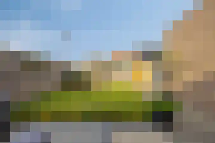 Julianalaan 1 Dodewaard thumbnail 5