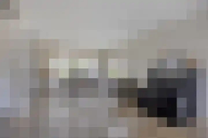 Julianalaan 1 Dodewaard thumbnail 9