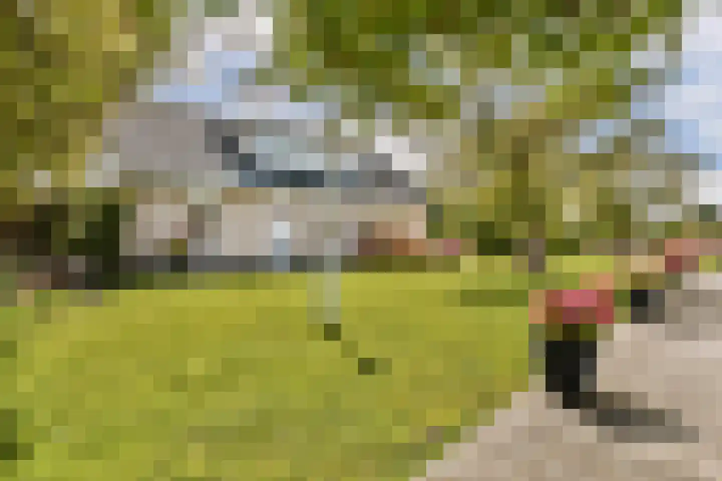 Julianalaan 1 h dans Kaag