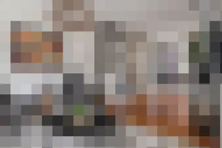 Julianalaan 17 Pijnacker thumbnail 10