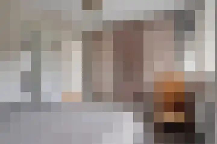 Julianalaan 17 Pijnacker thumbnail 16