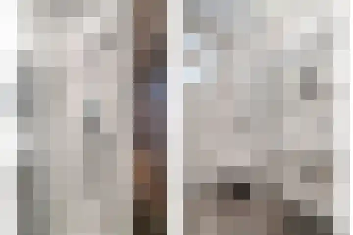 Julianalaan 17 Pijnacker thumbnail 19
