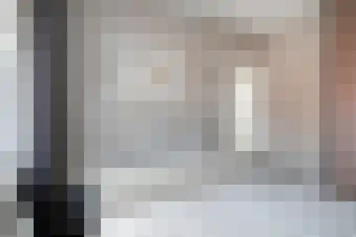 Julianalaan 17 Pijnacker thumbnail 21