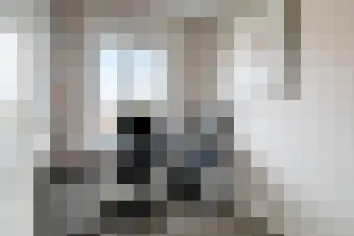 Julianalaan 17 Pijnacker thumbnail 22