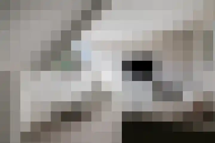 Julianalaan 17 Pijnacker thumbnail 26