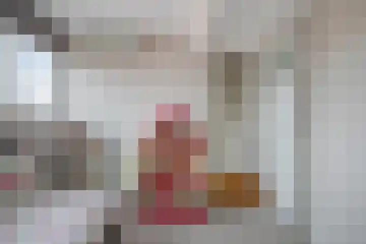 Julianalaan 17 Pijnacker thumbnail 28