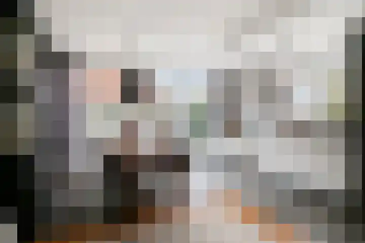 Julianalaan 17 Pijnacker thumbnail 4