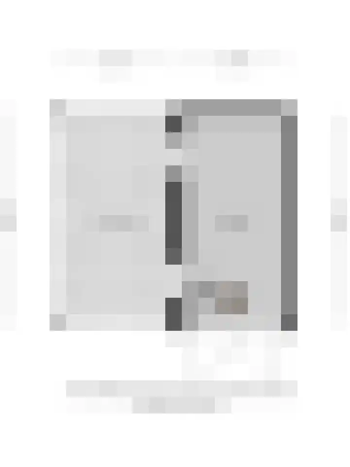 Julianalaan 17 Pijnacker thumbnail 40