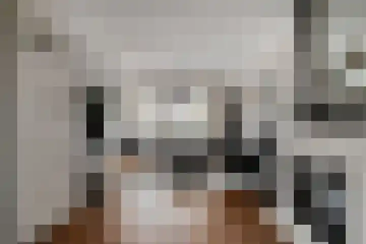 Julianalaan 17 Pijnacker thumbnail 9