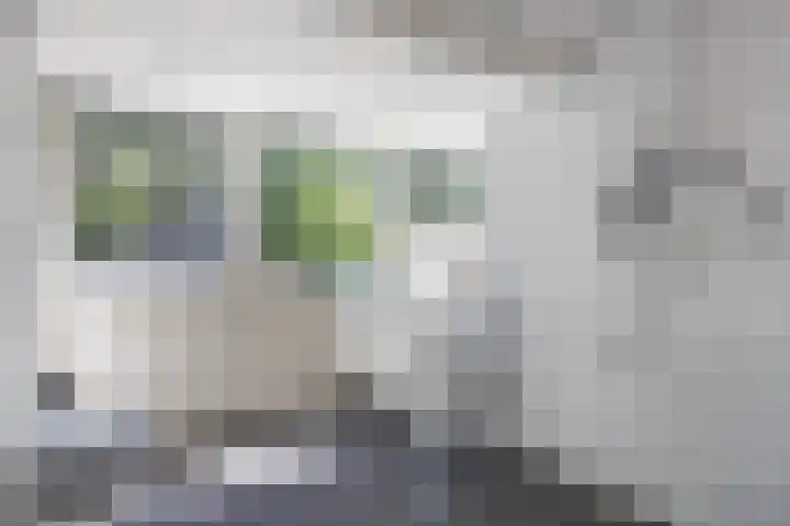 Julianalaan 182 Bilthoven thumbnail 31