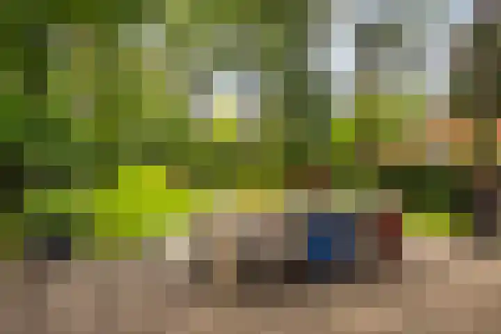 Julianalaan 182 Bilthoven thumbnail 34